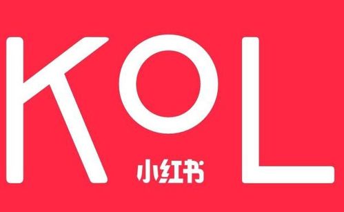 蕓眾科技 借力小紅書KOL達人，打造產品推廣種草與測評新范式