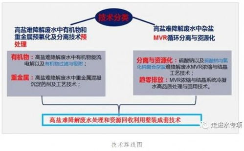 高鹽難降解廢水趨零排放技術實現重大突破與規模化應用